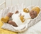 Raphael - 45cm - Arias